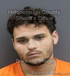 Mugshot of JAYDEN MICHAEL CRETELLA booked in Hillsborough County, Florida on April 7, 2026