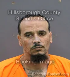 Mugshot of LUBY ANTHONY GARCIA booked in Hillsborough County, Florida on April 7, 2026
