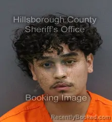 Mugshot of CHRISTIAN ROBERTO ROSA booked in Hillsborough County, Florida on April 7, 2026