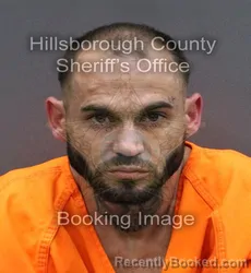 Mugshot of MICHAEL CALEB MACKENZIE booked in Hillsborough County, Florida on April 7, 2026