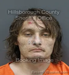 Mugshot of BRIAN J. HAMILTON