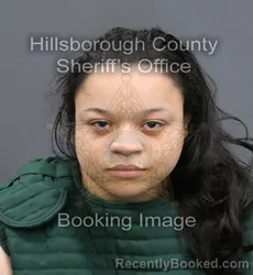 Mugshot of CHEYANNE DE JESUS booked in Hillsborough County, Florida on April 7, 2026