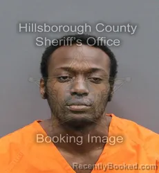 Mugshot of MATTHEW MALIK SIMON BROWN booked in Hillsborough County, Florida on April 7, 2026
