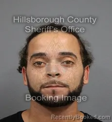 Mugshot of EMMANUEL ROBERT SHERMAN booked in Hillsborough County, Florida on April 7, 2026