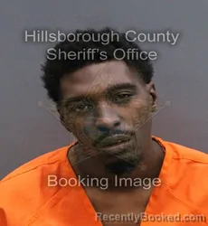 Mugshot of EDWARD ADAM III WILSON booked in Hillsborough County, Florida on April 7, 2026