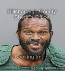 Mugshot of LOUIS D BROWNLEE booked in Hillsborough County, Florida on April 7, 2026