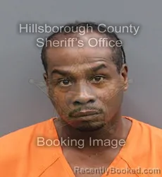 Mugshot of CHARLES TAYNELL SOMERVILLE booked in Hillsborough County, Florida on April 7, 2026