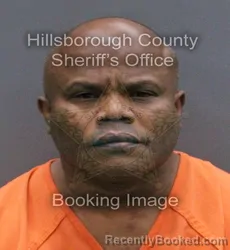 Mugshot of ABANES DEBREUS booked in Hillsborough County, Florida on April 7, 2026