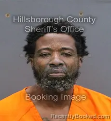 Mugshot of ROBERT N PEEPLES booked in Hillsborough County, Florida on April 7, 2026