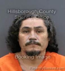 Mugshot of FIDENCIO JR MINJARES booked in Hillsborough County, Florida on April 7, 2026