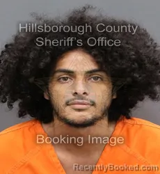 Mugshot of CHRISTIAN JOSE MASS booked in Hillsborough County, Florida on April 7, 2026