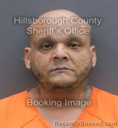 Mugshot of MACHATA HAMILTON booked in Hillsborough County, Florida on April 7, 2026
