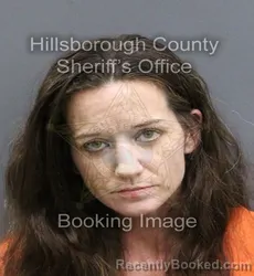 Mugshot of HEATHER MARIE ROBERTSON booked in Hillsborough County, Florida on April 7, 2026