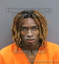Mugshot of KENTREAZ JAMARION JENKINS booked in Hillsborough County, Florida on April 7, 2026