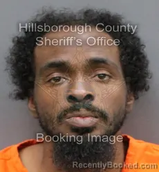 Mugshot of MARQUISE RASHAAD LEMAR TISDALE booked in Hillsborough County, Florida on April 7, 2026