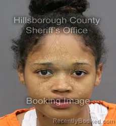 Mugshot of ALIEGHA JANICE YASMINE HERNANDEZ booked in Hillsborough County, Florida on April 8, 2026