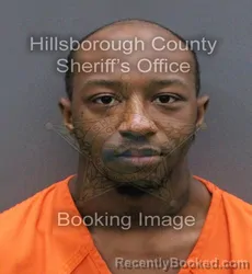 Mugshot of ERIC DANDRE EVERETT booked in Hillsborough County, Florida on April 8, 2026