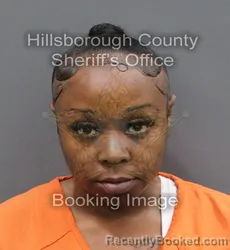 Mugshot of VICTORIA ILOYE WILLYN BRAIDE booked in Hillsborough County, Florida on April 8, 2026