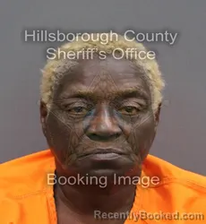 Mugshot of TINA MICHELLE JOYCE booked in Hillsborough County, Florida on April 8, 2026