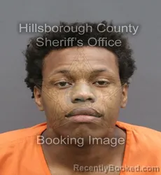 Mugshot of PAUL EZEKIEL FAGAN booked in Hillsborough County, Florida on April 8, 2026