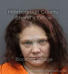 Mugshot of SHELLEY DAWN JONES booked in Hillsborough County, Florida on April 8, 2026