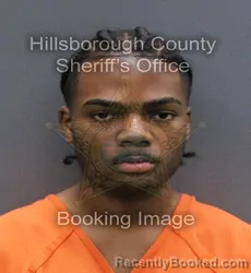 Mugshot of KENDI ZAKAR KIONE MORRIS booked in Hillsborough County, Florida on April 8, 2026