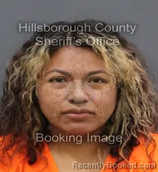 Mugshot of NISA HERNANDEZ booked in Hillsborough County, Florida on April 8, 2026