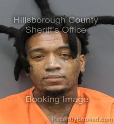 Mugshot of DANNY DASHAWN EVANS booked in Hillsborough County, Florida on April 8, 2026
