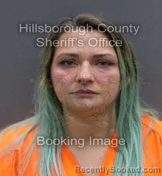 Mugshot of DANIELLE CHESTEAN GRAHAM booked in Hillsborough County, Florida on April 8, 2026