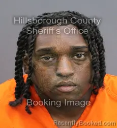 Mugshot of MESSIAH LEON HING booked in Hillsborough County, Florida on April 8, 2026