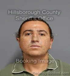 Mugshot of ANDREI DAVID SOLANO SALAZAR booked in Hillsborough County, Florida on April 8, 2026