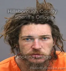 Mugshot of AUSTIN S PINE booked in Hillsborough County, Florida on April 8, 2026