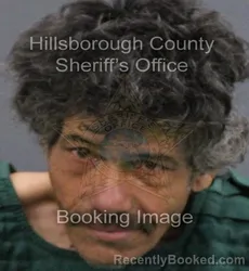 Mugshot of LEONARDO ARTURO MARRERO GARCIA booked in Hillsborough County, Florida on April 8, 2026