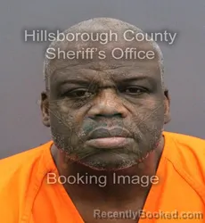 Mugshot of DAVID LEE DAWSON booked in Hillsborough County, Florida on April 8, 2026