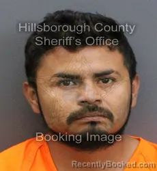 Mugshot of PEDRO RIOS LORENZO booked in Hillsborough County, Florida on April 8, 2026
