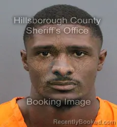 Mugshot of DARRELL DARNELL BULLOCK booked in Hillsborough County, Florida on April 8, 2026
