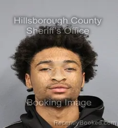 Mugshot of DEMETRIUS BELLAMY booked in Hillsborough County, Florida on April 8, 2026