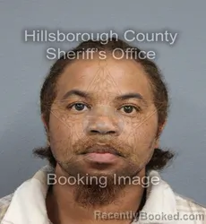 Mugshot of ANTONIUS LAETHAN LARRY booked in Hillsborough County, Florida on April 8, 2026