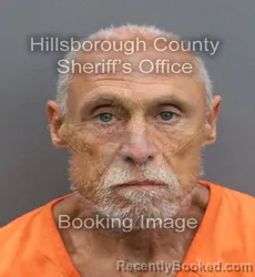 Mugshot of STONEWALL JACKSON FEAGIN booked in Hillsborough County, Florida on April 8, 2026