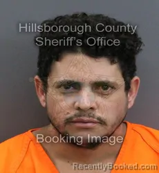 Mugshot of RICARDO PEREIRA GAMEZ booked in Hillsborough County, Florida on April 8, 2026