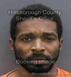 Mugshot of JOHN ALVIN LEWIS booked in Hillsborough County, Florida on April 8, 2026