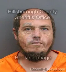 Mugshot of JULIAN ETHAN ALLISTAIR booked in Hillsborough County, Florida on April 8, 2026
