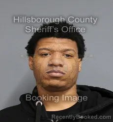 Mugshot of ZYNARIO ZENETRIUS COLEMAN booked in Hillsborough County, Florida on April 8, 2026