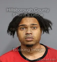 Mugshot of NICHOLAI FRANCESCO CHEDDAR booked in Hillsborough County, Florida on April 8, 2026