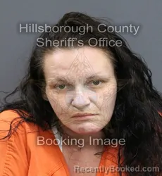 Mugshot of MEGAN LEE TANNER booked in Hillsborough County, Florida on April 8, 2026