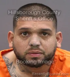 Mugshot of DAYLAN E HERNANDEZ
