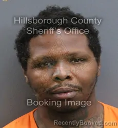 Mugshot of JANARD DOMINIC CHILDS booked in Hillsborough County, Florida on April 8, 2026