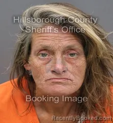 Mugshot of LEE ANNA MCGLAMORY booked in Hillsborough County, Florida on April 8, 2026