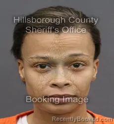 Mugshot of ALEXIS DIANE MILLER booked in Hillsborough County, Florida on April 8, 2026