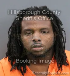 Mugshot of D ANRE MARQUIS MATTEAR-LOFTON booked in Hillsborough County, Florida on April 8, 2026
